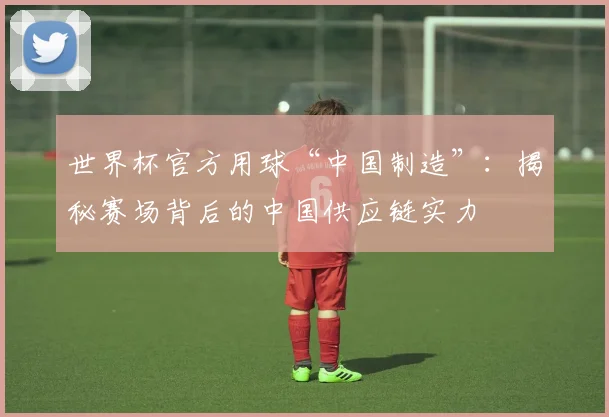 世界杯官方用球“中国制造”：揭秘赛场背后的中国供应链实力