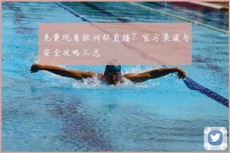 免费观看欧洲杯直播？官方渠道与安全攻略汇总