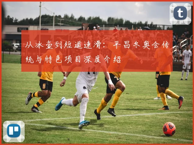 从冰壶到短道速滑：平昌冬奥会传统与特色项目深度介绍