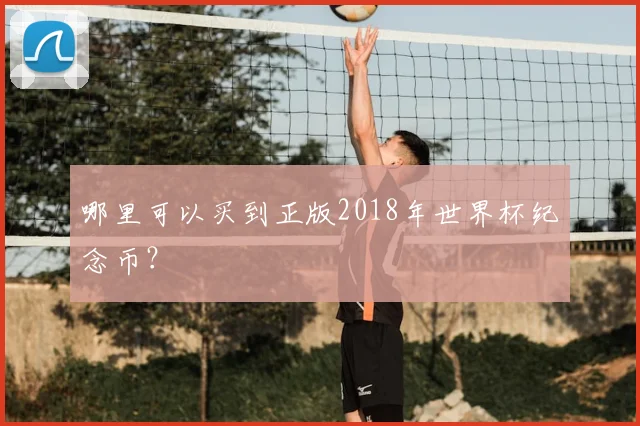 哪里可以买到正版2018年世界杯纪念币？