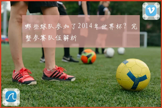 哪些球队参加了2014年世界杯？完整参赛队伍解析