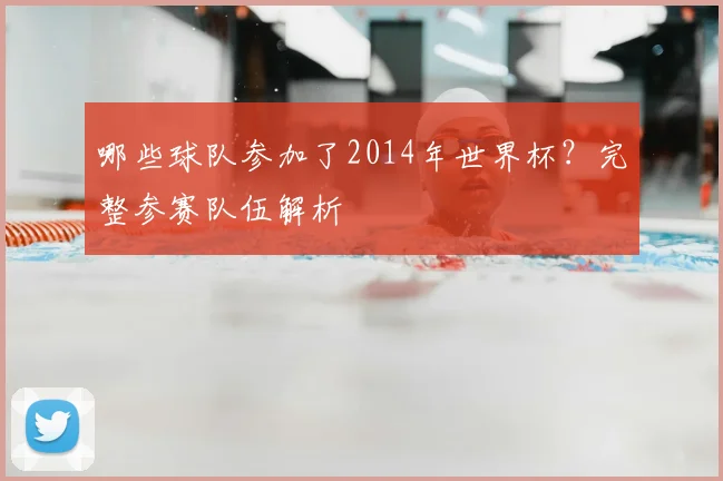 哪些球队参加了2014年世界杯？完整参赛队伍解析
