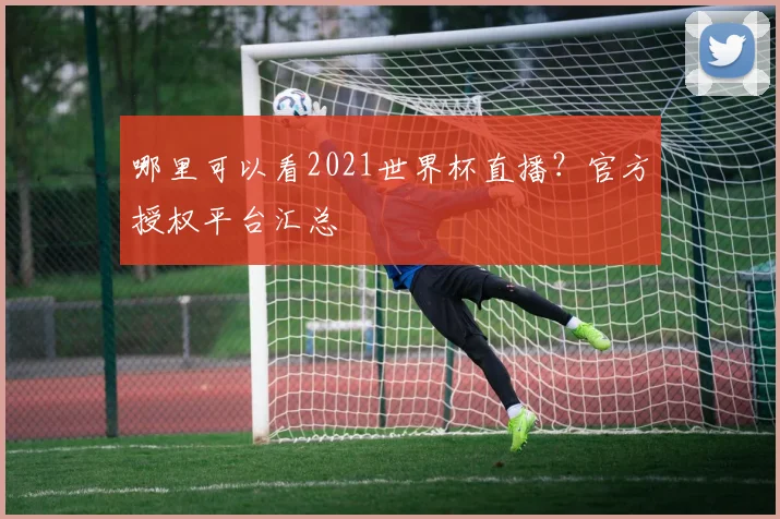 哪里可以看2021世界杯直播？官方授权平台汇总
