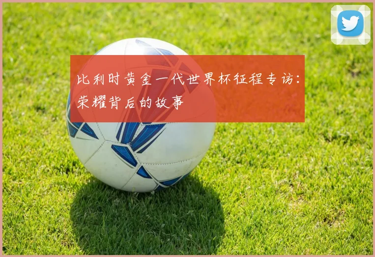 比利时黄金一代世界杯征程专访：荣耀背后的故事