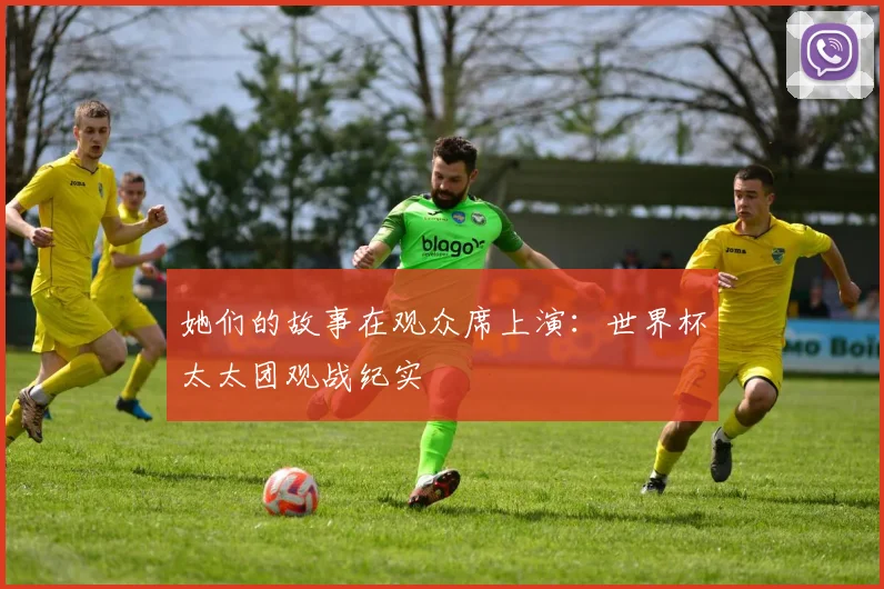 她们的故事在观众席上演：世界杯太太团观战纪实